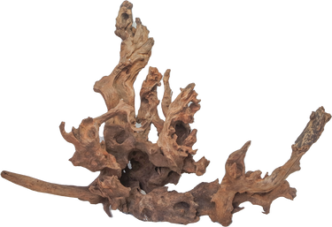 Drift Wood - XL / 50-80cm / pc